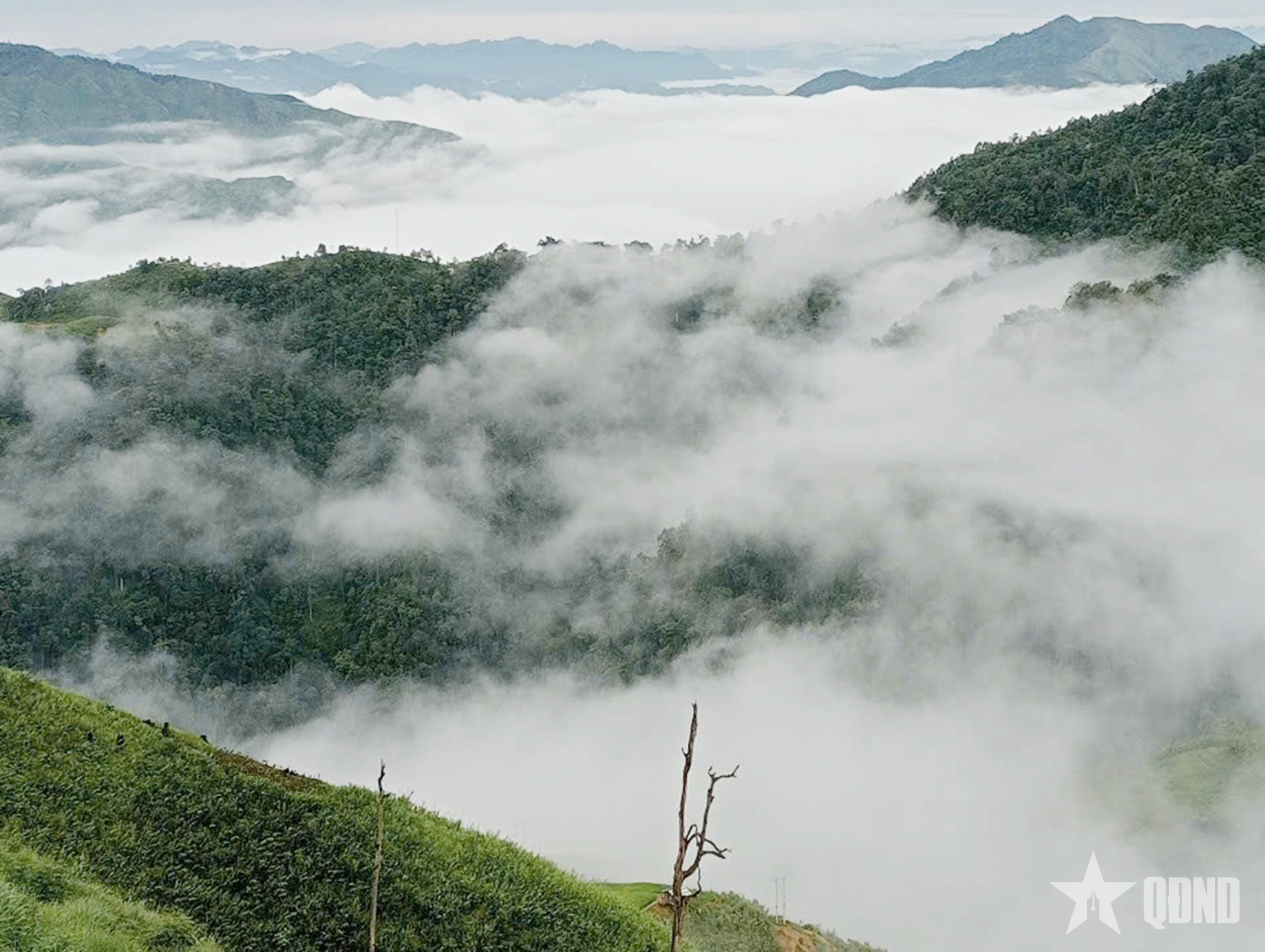 Giọt sương, hương khói và vị trà Tà Xùa giữa đại ngàn

